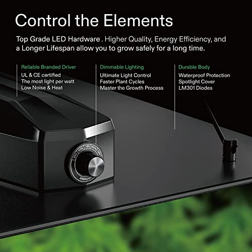 4x4 Grow Tent Complete System with Carbon Filter