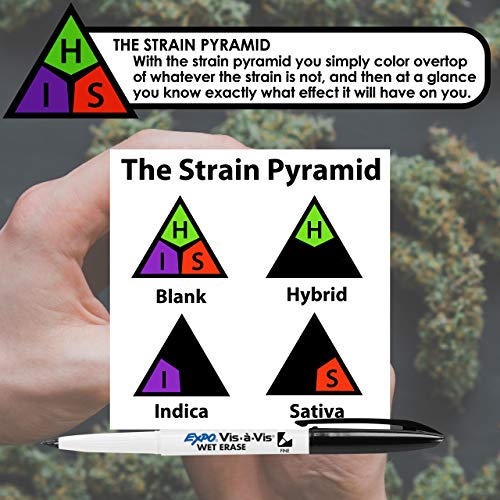 Sure Cure Collector Vault - 1.5 oz Locking Herb Stash Box - Stash Jar, Smell Proof Jar, Herb Container, Stash Box