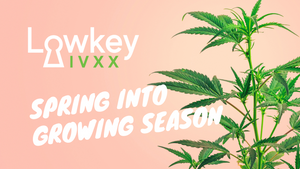 Spring into Growing Season with New Lowkey IVXX Recommendations