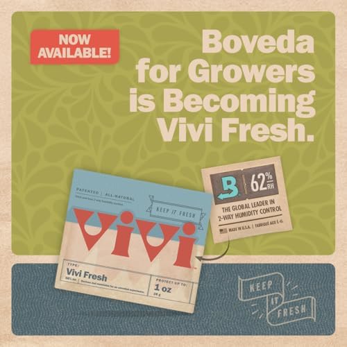 Boveda pack placed inside a glass storage jar
