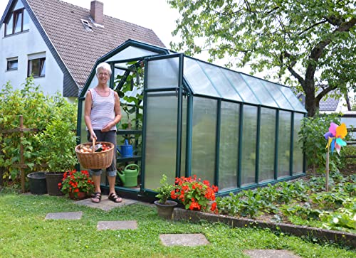 EcoGrow 2 Greenhouse, 6' x 12', Dark Green - Rion HG7012