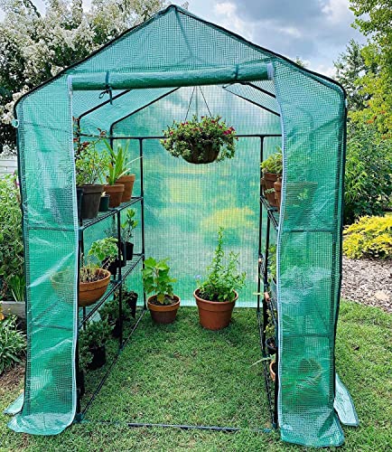 Greenhouse for Outdoors with Screen Windows, Ohuhu Walk in Plant Greenhouses Heavy Duty with Durable PE Cover, 3 Tiers 12 Shelves Stands 4.8x4.8x6.3 FT Plastic Portable Green House with Shelf Clips